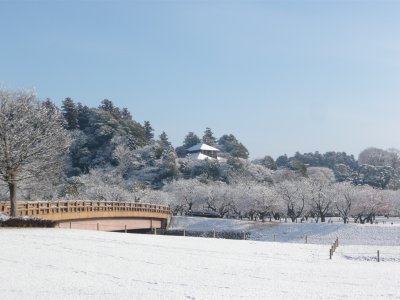 偕楽園の雪.jpg