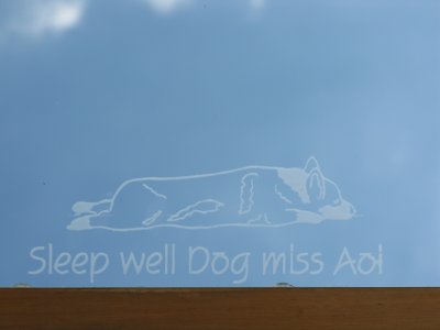 Sleep well dog.jpg